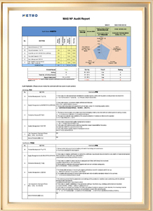  MAS NF Audit Report 